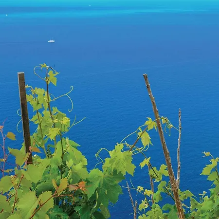 Apartamento Stunning In With Sauna