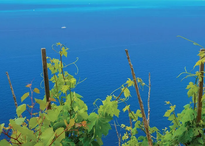 Apartman Stunning In With Sauna